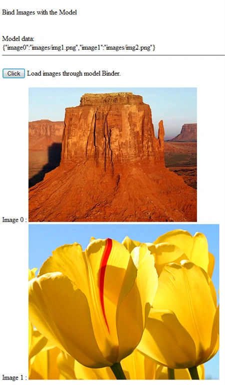 display bind images