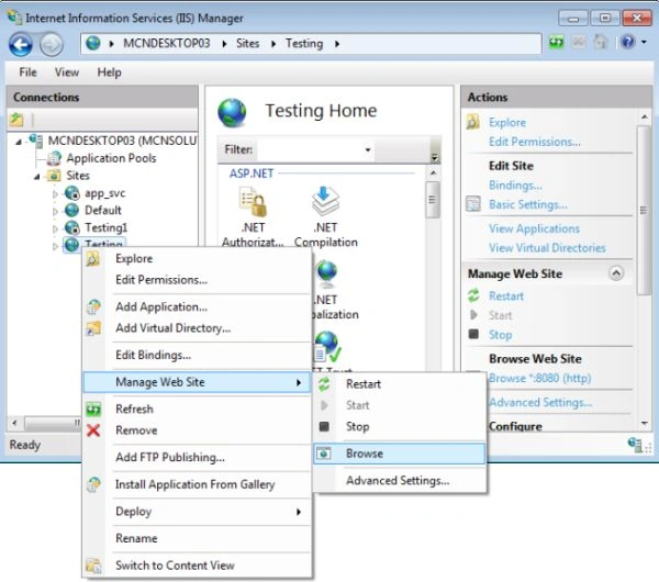 iis11.jpg