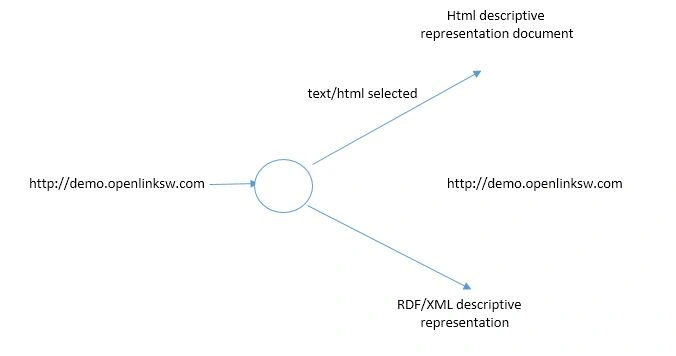 pic6.jpg