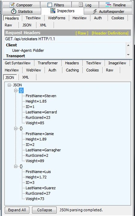 JSON format Result