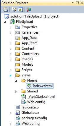 file2.jpg