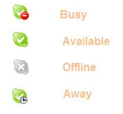Skype status