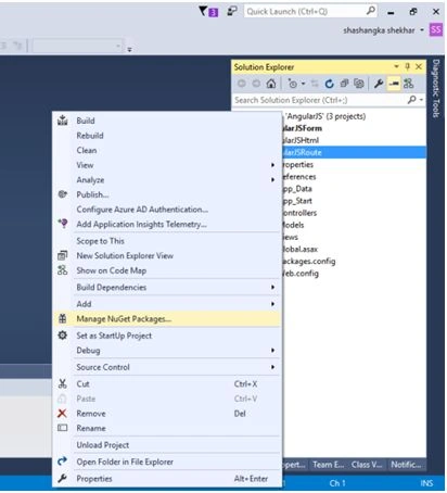 Manage newget package
