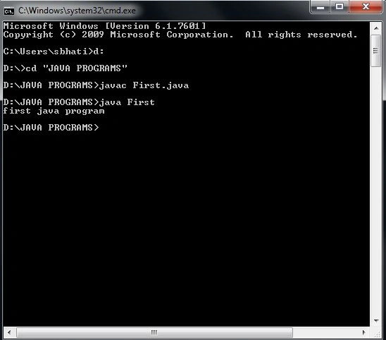 execute the program