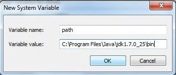 paste path of bin