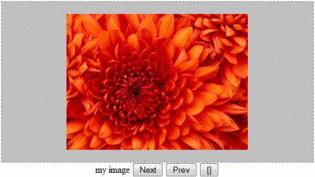 my image.gif