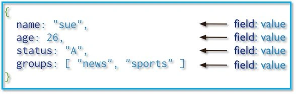 A MongoDB Document