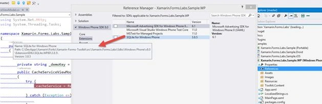 path for the SDK Extension