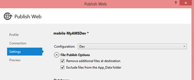 publish web
