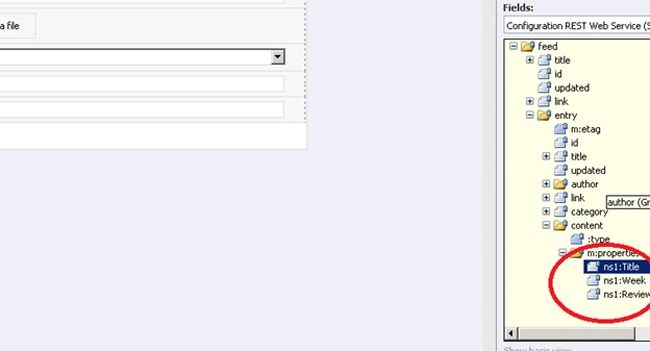 REST web service6