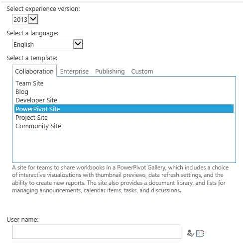 PowerPivot template
