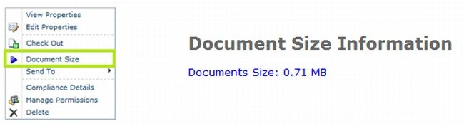 Document -Custom-Action.jpg