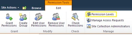 Custom Permission