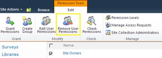 Remove Permission