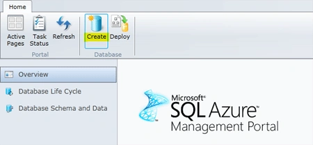 Management Portal