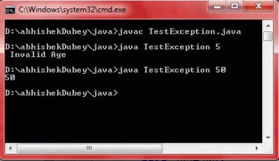 testException.gif