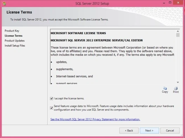 License Terms