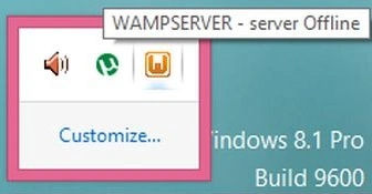 Wamp server offline