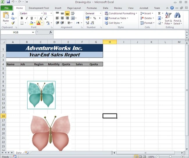 excel file with image