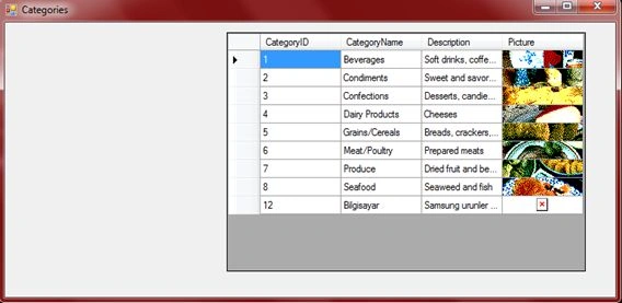 Create-Edmx-File-9.jpg