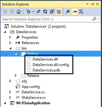 Debug Folder in Application
