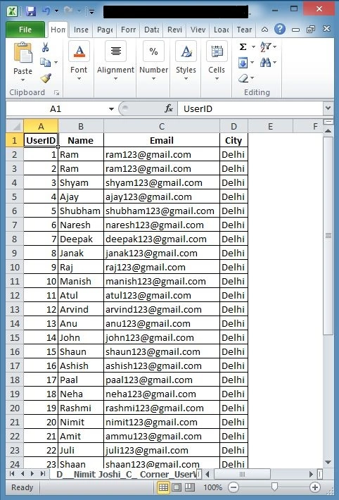 Excel File