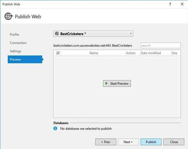 Web Publish Preview