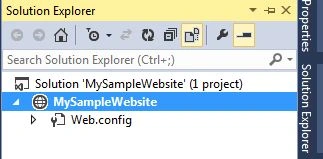 Solution Explorer