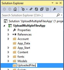 Creating New Folder in WebForms Project