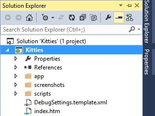 Solution Explorer of Chrome Extension
