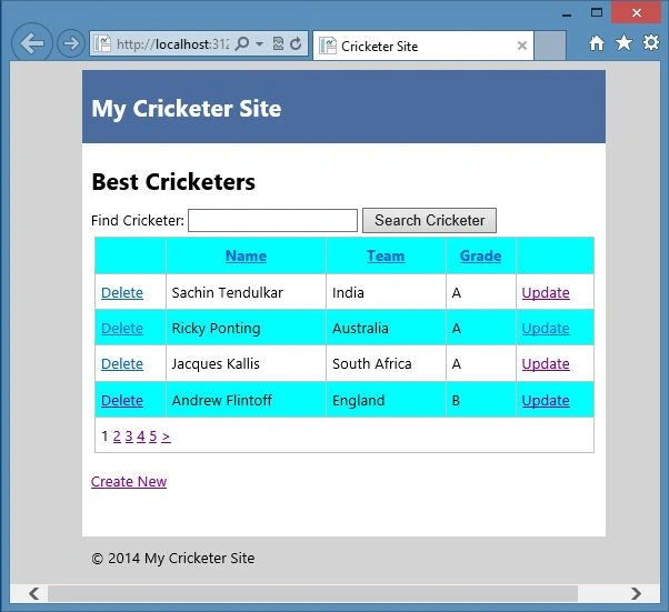 Page with CSS