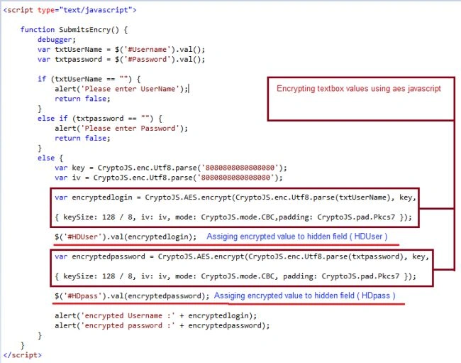 JavaScript