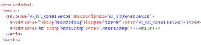 expose metadata