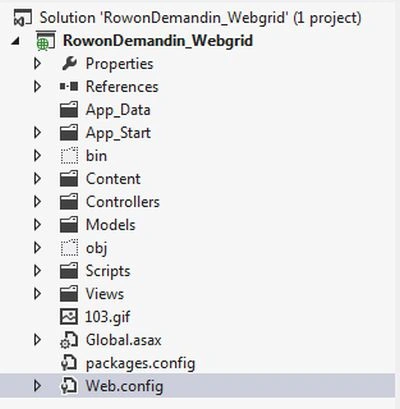 web config