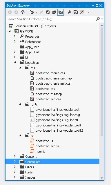 Bootstrap folder
