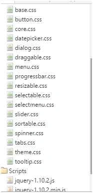 CSS and JavaScript files