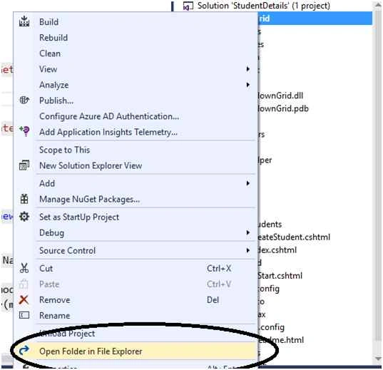 File explorer