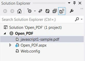 solution explorer