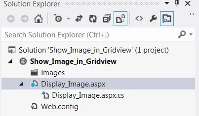 solution-explorer.jpg