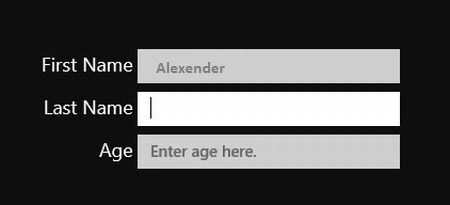 watermark-textbox-in-windows-store-apps (1).jpg