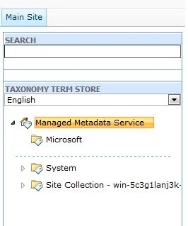 Term-set-deleted-sharepoint2010.jpg