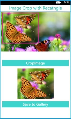 image crop with recatngle