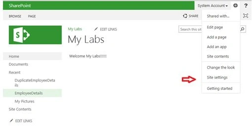 my lab