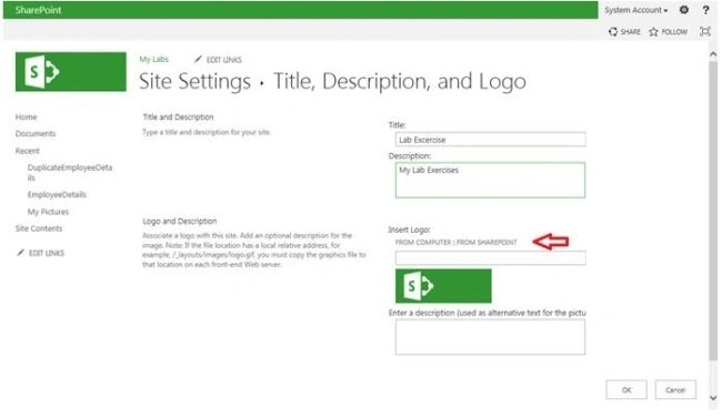 SharePoint option