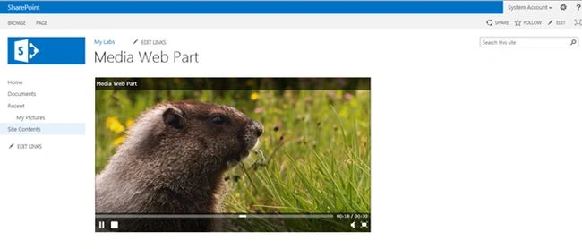 Media web part