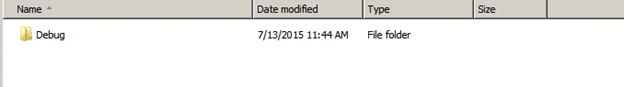 debug folder