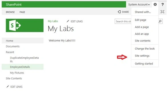 my lab