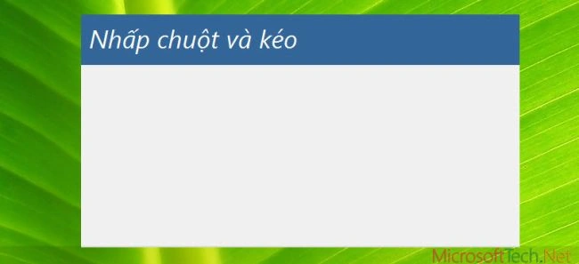 006-form-no-boder-microsofttech.net.jpg