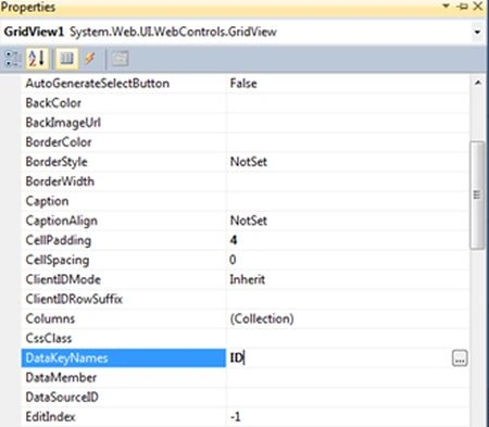 DataKeyNames