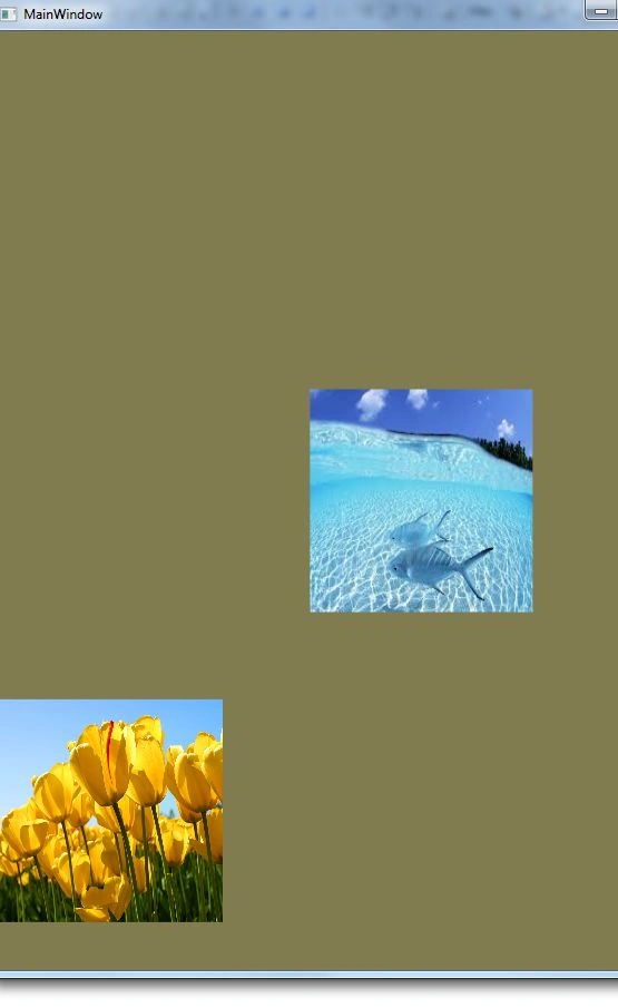a7.jpg